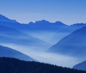 成都有几家供卵试管医院，附2024供卵费用一览！